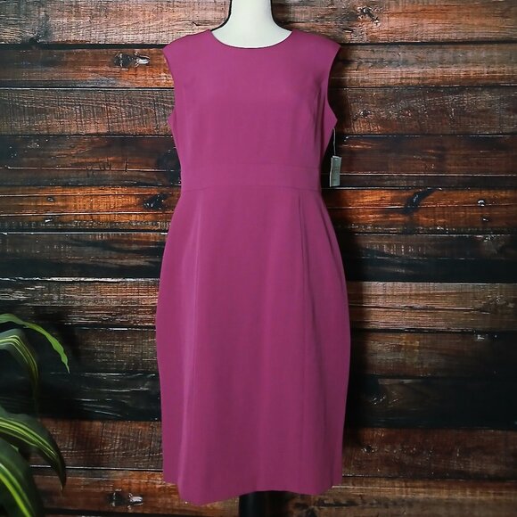 NWT Kasper Sheath Dress 10P Cerise Zip Back Lined - Picture 2 of 11